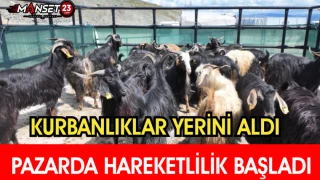 Kurbanlıklar Yerini Aldı, Pazarda Hareketlilik Başladı