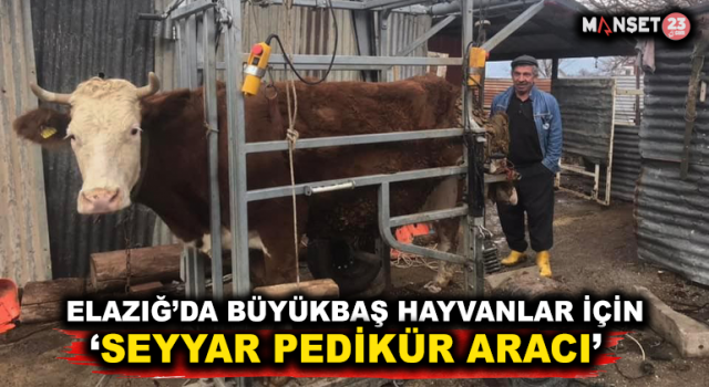 Elazığ’da Büyükbaş Hayvanlar İçin 'Seyyar Pedikür Aracı'