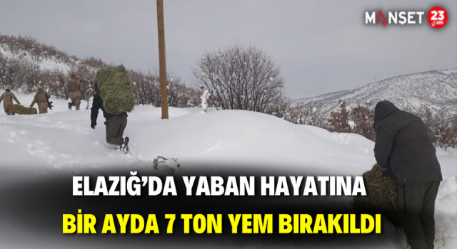 Elazığ’da Yaban Hayatına Bir Ayda 7 Ton Yem Bırakıldı