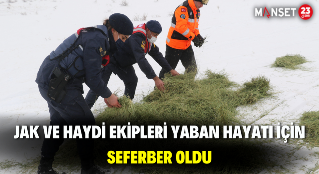 JAK ve HAYDİ Ekipleri Yaban Hayatı İçin Seferber Oldu