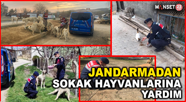 Jandarma, Ramazan Ayında Da Sokak Hayvanlarını Yalnız Bırakmadı