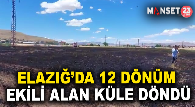 Elazığ’da 12 Dönüm Ekili Alan Kül Oldu