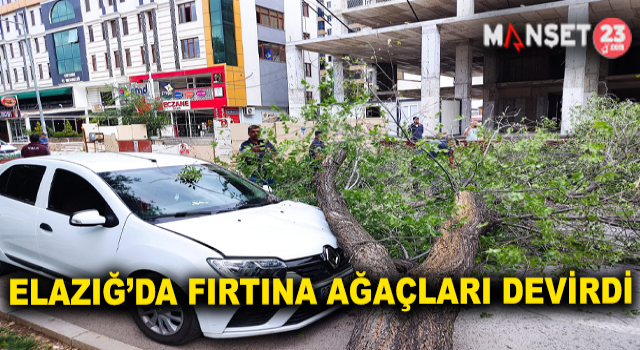 Elazığ’da Fırtına Ağaçları Kökünden Söktü