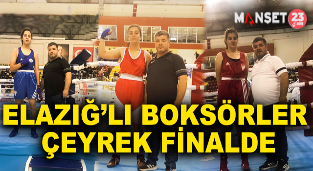 Elazığlı Boksörler Çeyrek Finalde