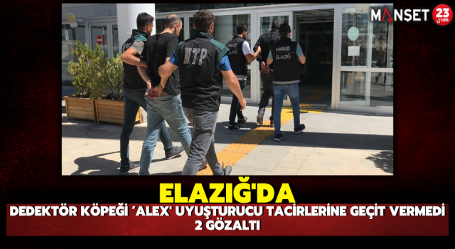 Elazığ'da Dedektör Köpeği ‘Alex' Uyuşturucu Tacirlerine Geçit Germedi: 2 Gözaltı