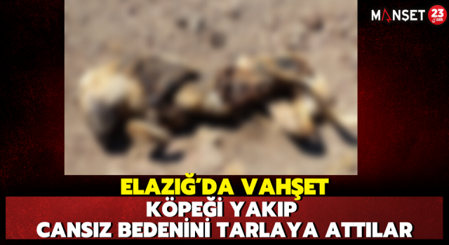 Elazığ’da Vahşet: Köpeği Yakıp Cansız Bedenini Tarlaya Attılar