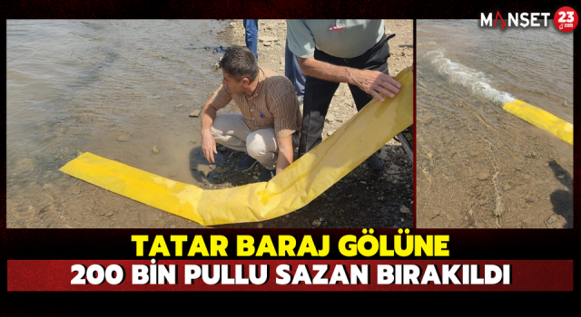 Tatar Baraj Gölüne 200 Bin Pullu Sazan Bırakıldı