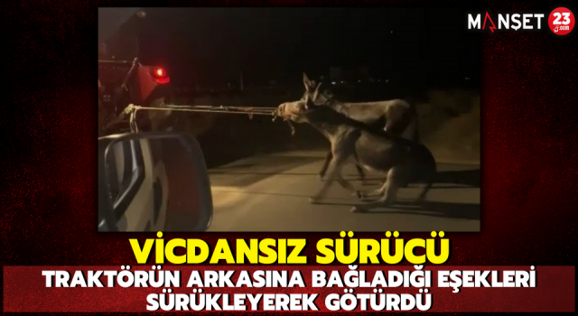 Vicdansız Sürücü, Traktörün Arkasına Bağladığı Eşekleri Sürükleyerek Götürdü