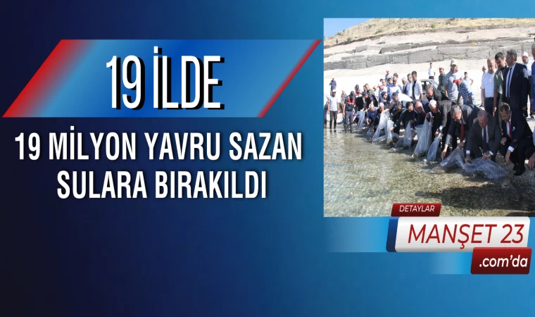 19 İlde 19 Milyon Yavru Sazan Sulara Bırakıldı