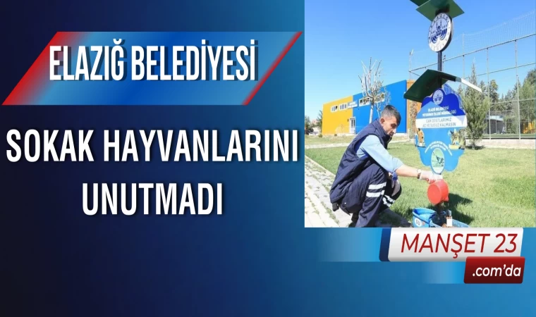 Elazığ Belediyesi Sokak Hayvanlarını Unutmadı