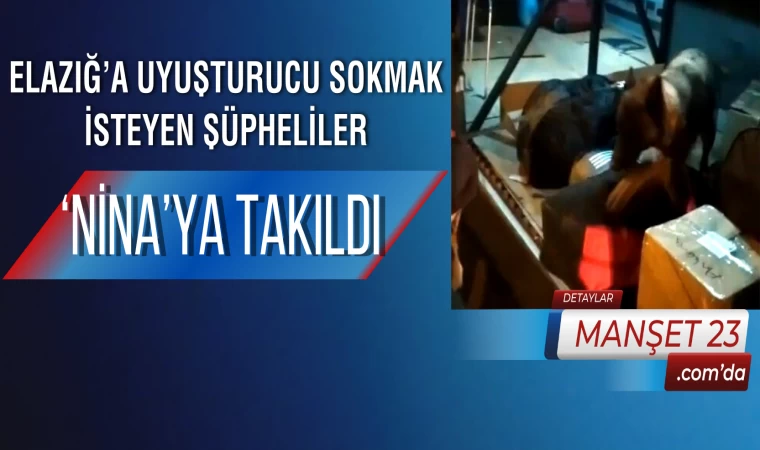 Elazığ’a Uyuşturucu Sokmak İsteyen Şüpheliler ‘Nina’ya Takıldı