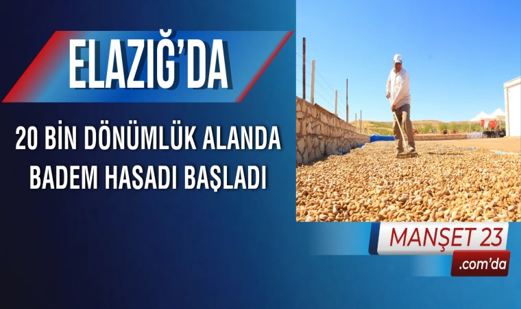 Elazığ’da 20 Bin Dönümlük Alanda Badem Hasadı Başladı