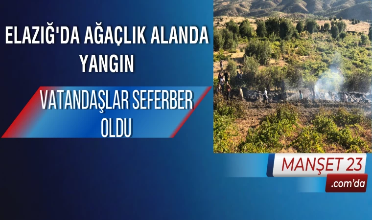 Elazığ'da Ağaçlık Alanda Yangın: Vatandaşlar Seferber Oldu