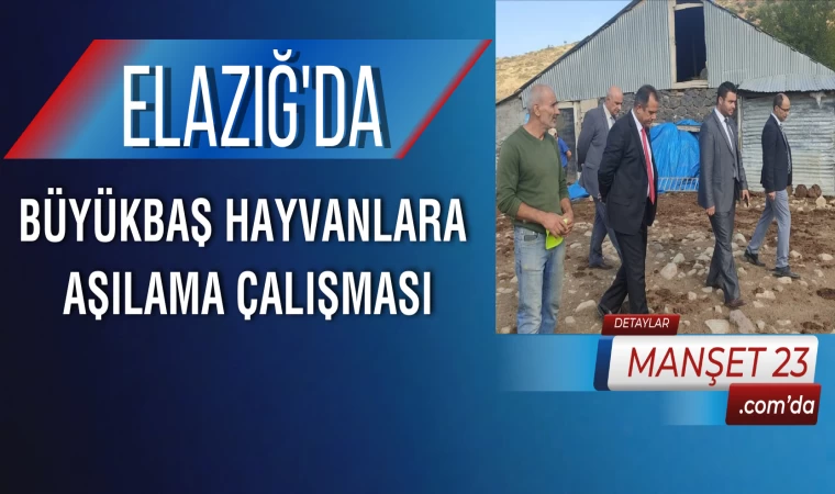 Elazığ’da Büyükbaş Hayvanlara Aşılama Çalışması