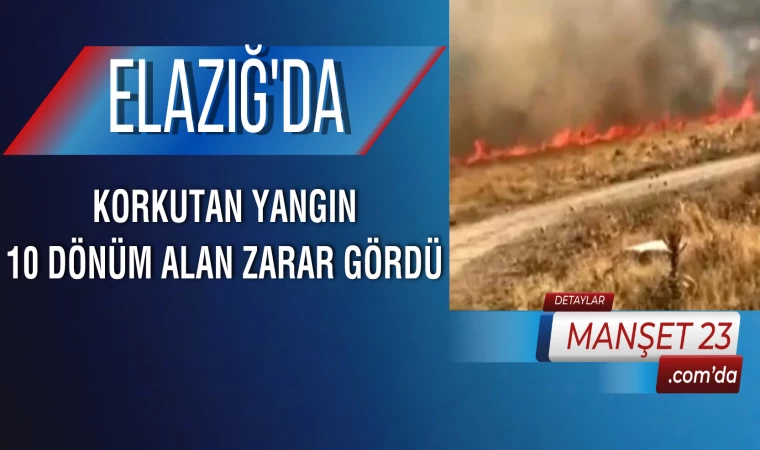 Elazığ’da Korkutan Yangın: 10 Dönüm Alan Zarar Gördü