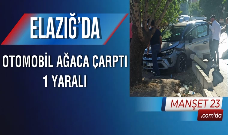 Elazığ’da Otomobil Ağaca Çarptı: 1 Yaralı