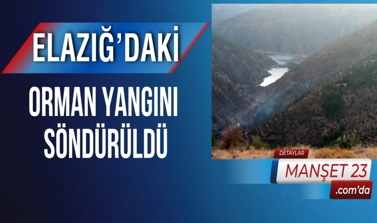 Elazığ’daki Orman Yangını Söndürüldü