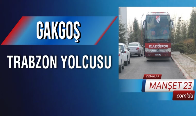 Gakgoş Trabzon Yolcusu