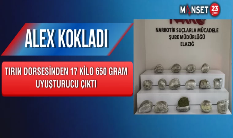 Alex Kokladı, Tırın Dorsesinden 17 Kilo 650 Gram Uyuşturucu Çıktı