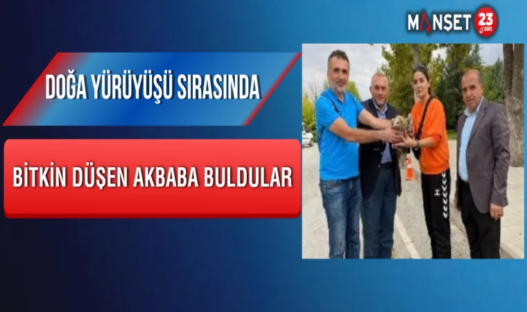 Doğa Yürüyüşü Sırasında Bitkin Düşen Akbaba Buldular