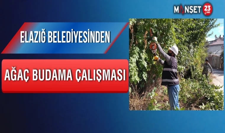 Elazığ Belediyesinden Ağaç Budama Çalışması