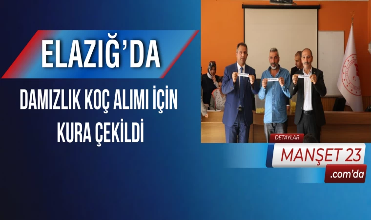 Elazığ’da Damızlık Koç Alımı İçin Kura Çekildi