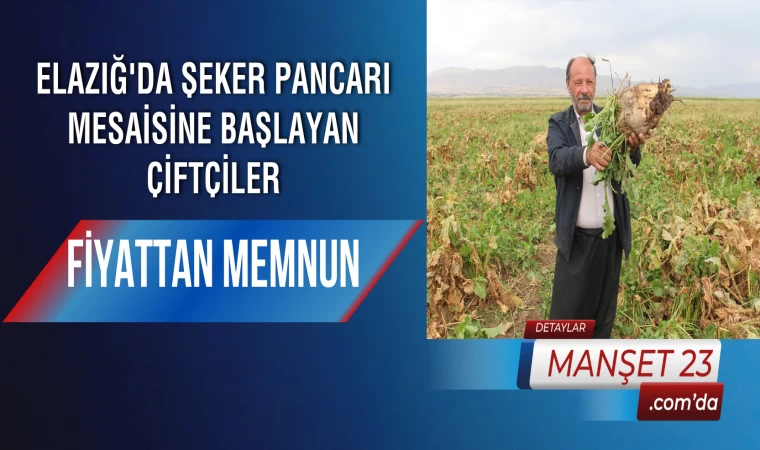 Elazığ'da Şeker Pancarı Mesaisine Başlayan Çiftçiler Fiyattan Memnun