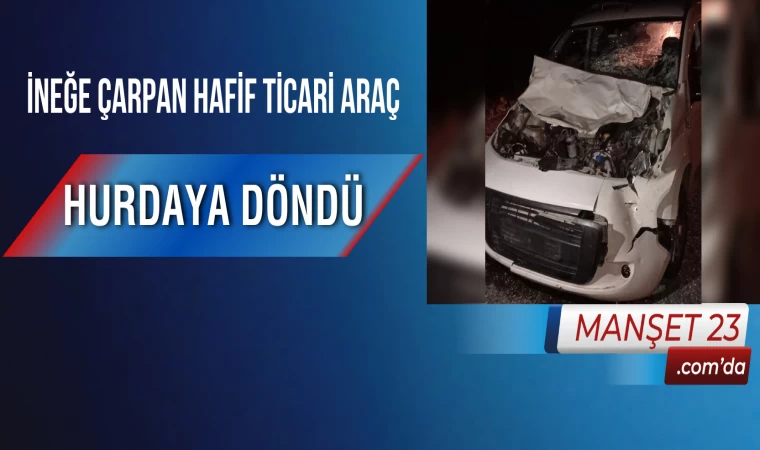 İneğe Çarpan Hafif Ticari Araç Hurdaya Döndü