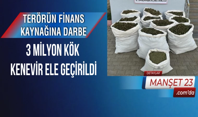 Terörün Finans Kaynağına Darbe: 3 Milyon Kök Kenevir Ele Geçirildi