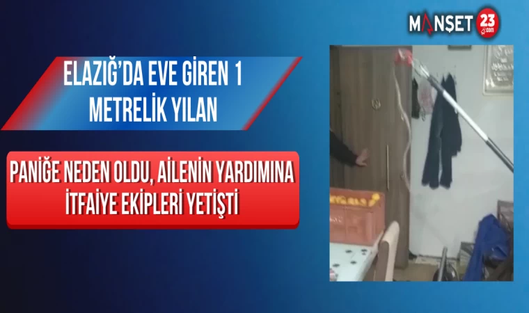 Elazığ’da Eve Giren 1 Metrelik Yılan Paniğe Neden Oldu, Ailenin Yardımına İtfaiye Ekipleri Yetişti