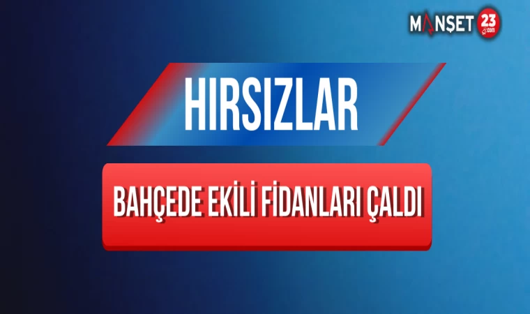 Hırsızlar Bahçede Ekili Fidanları Çaldı