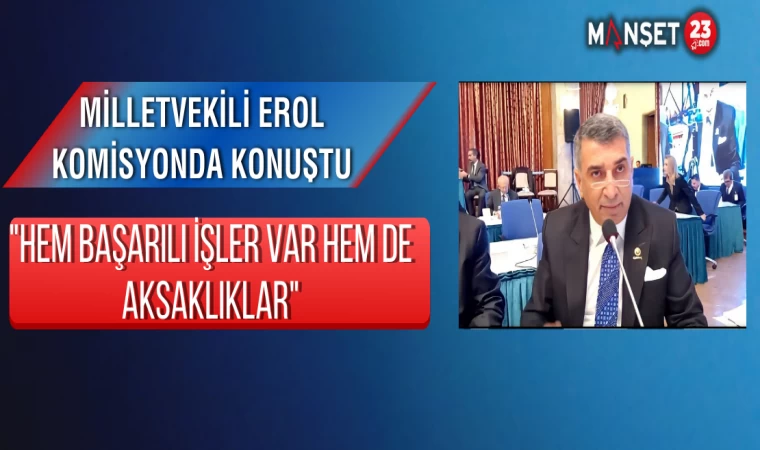 Milletvekili Erol Komisyonda Konuştu "Hem Başarılı İşler Var Hem De Aksaklıklar"