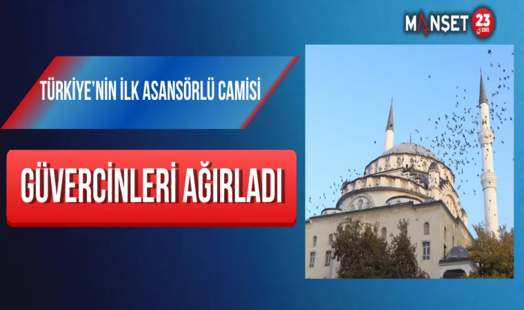 Türkiye’nin İlk Asansörlü Camisi Güvercinleri Ağırladı