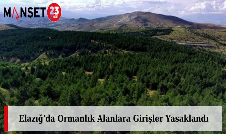 Elazığ’da Ormanlık Alanlara Girişler Yasaklandı