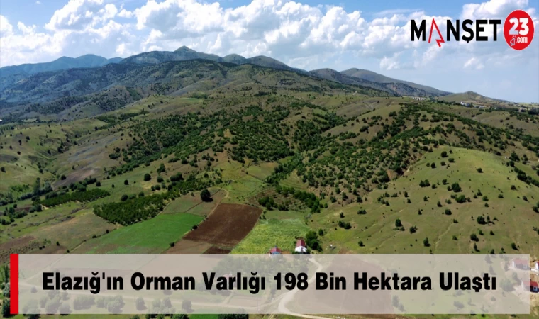 Elazığ'ın Orman Varlığı 198 Bin Hektara Ulaştı