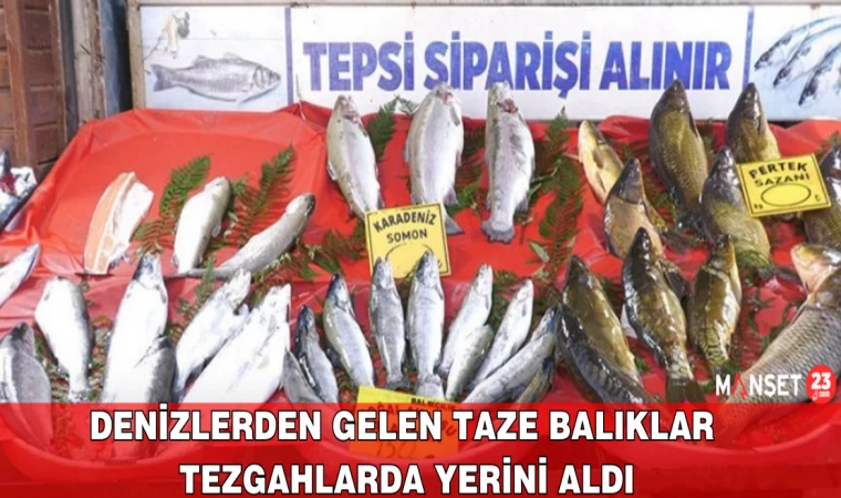 Denizlerden Gelen Taze Balıklar Tezgahlarda Yerini Aldı