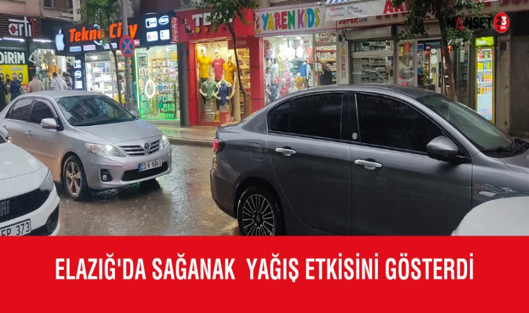 Elazığ'da Sağanak Yağış Etkisini Gösterdi