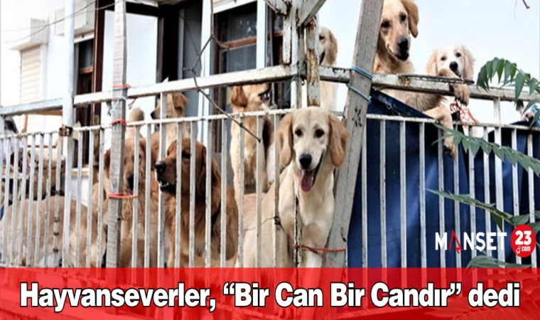 Hayvanseverler, “Bir Can Bir Candır” dedi