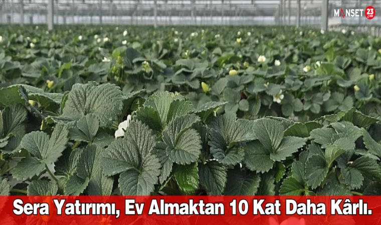 Sera Yatırımı, Ev Almaktan 10 Kat Daha Kârlı.