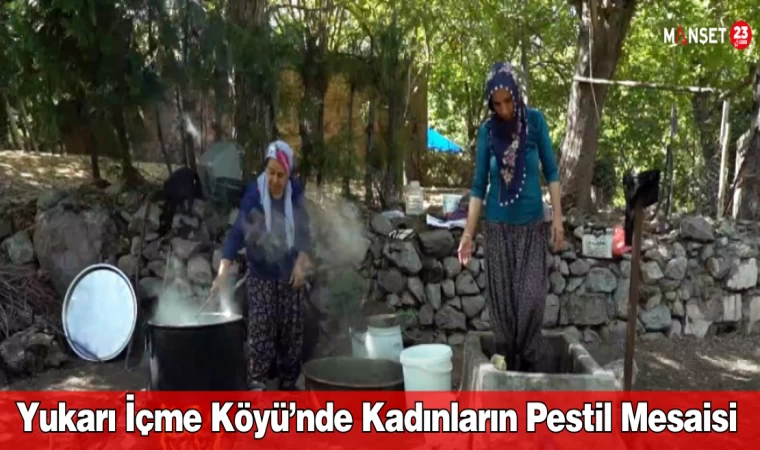 Yukarı İçme Köyü’nde Kadınların Pestil Mesaisi