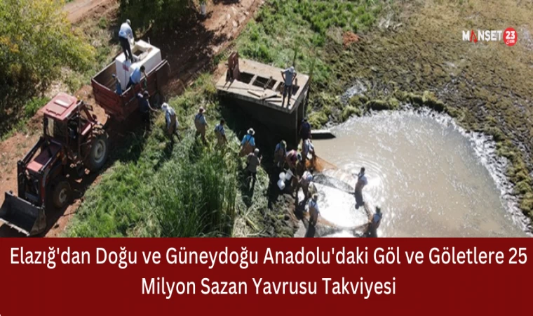 Elazığ'dan Doğu ve Güneydoğu Anadolu'daki Göl ve Göletlere 25 Milyon Sazan Yavrusu Takviyesi