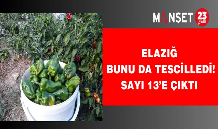 Elazığ bunu da tescilledi! Sayı 13’e çıktı