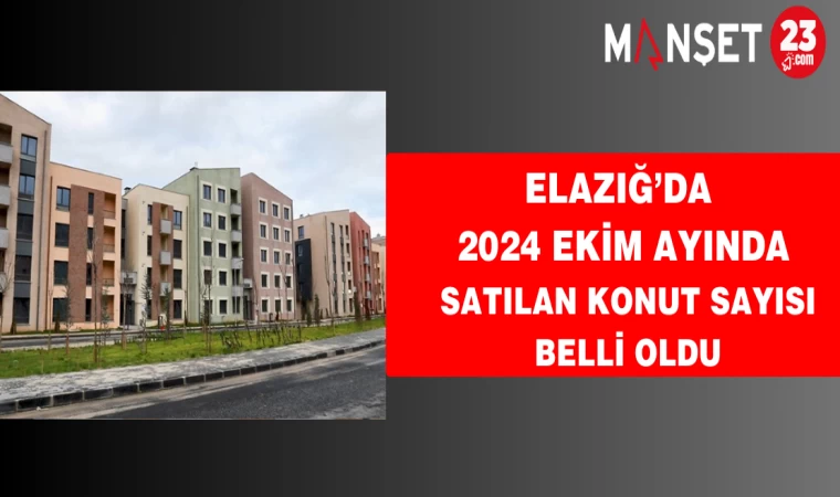 Elazığ’da 2024 Ekim ayında satılan konut sayısı belli oldu