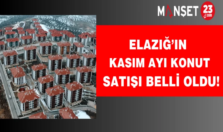 Elazığ’ın Kasım ayı konut satışı belli oldu!