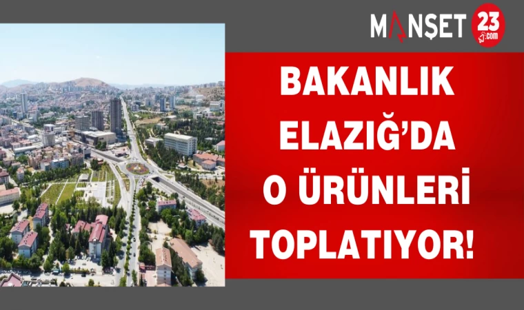 Bakanlık Elazığ’da o ürünleri toplatıyor!