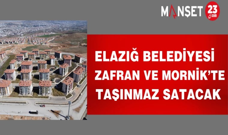 Elazığ Belediyesi Zafran ve Mornik’te taşınmaz satacak