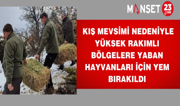 Kış Mevsimi Nedeniyle Yüksek Rakımlı Bölgelere Yaban Hayvanları İçin Yem Bırakıldı