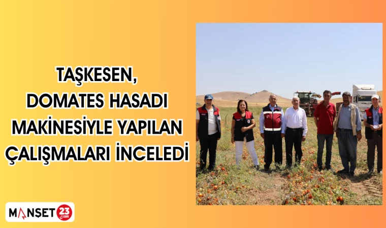Taşkesen,Domates Hasadı Makinesiyle Yapılan Çalışmaları İnceledi