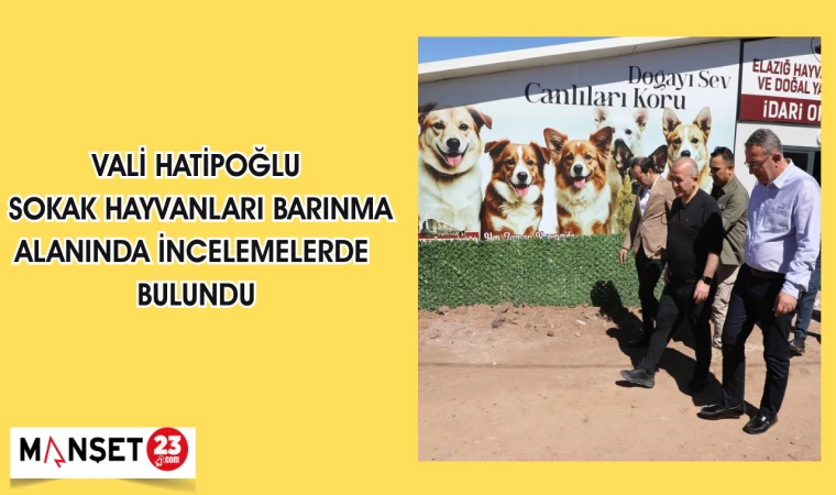 VALİ HATİPOĞLU SOKAK HAYVANLARI BARINMA ALANINDA İNCELEMELERDE BULUNDU