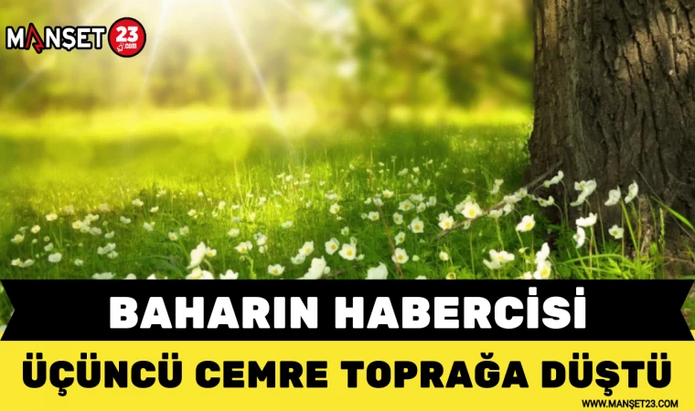 BAHARIN HABERCİSİ ÜÇÜNCÜ CEMRE TOPRAĞA DÜŞTÜ